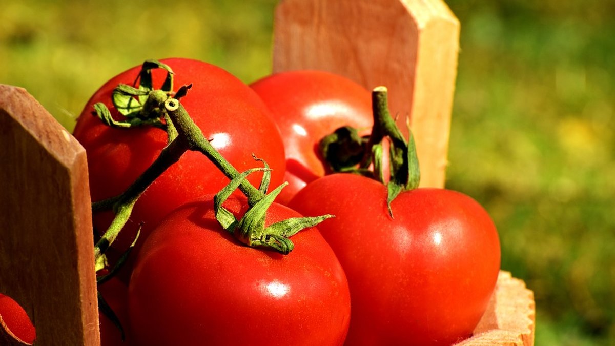 Och tomater kan väl inte vara gott med jordnötssmör? Vågar du testa?
