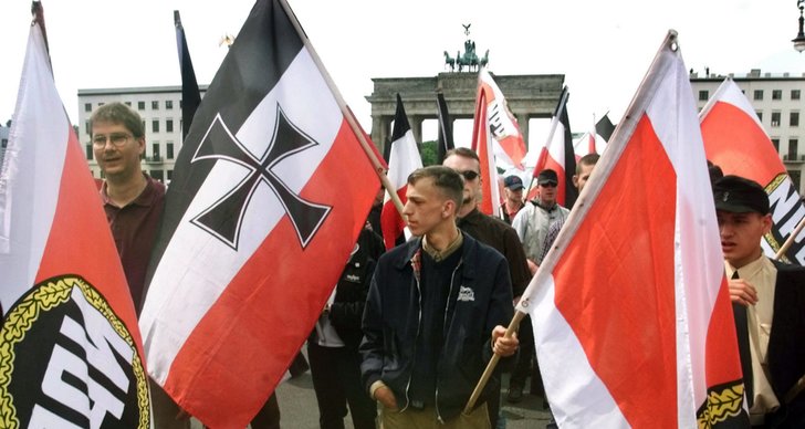 Porr, NPD, Nazism, Tyskland