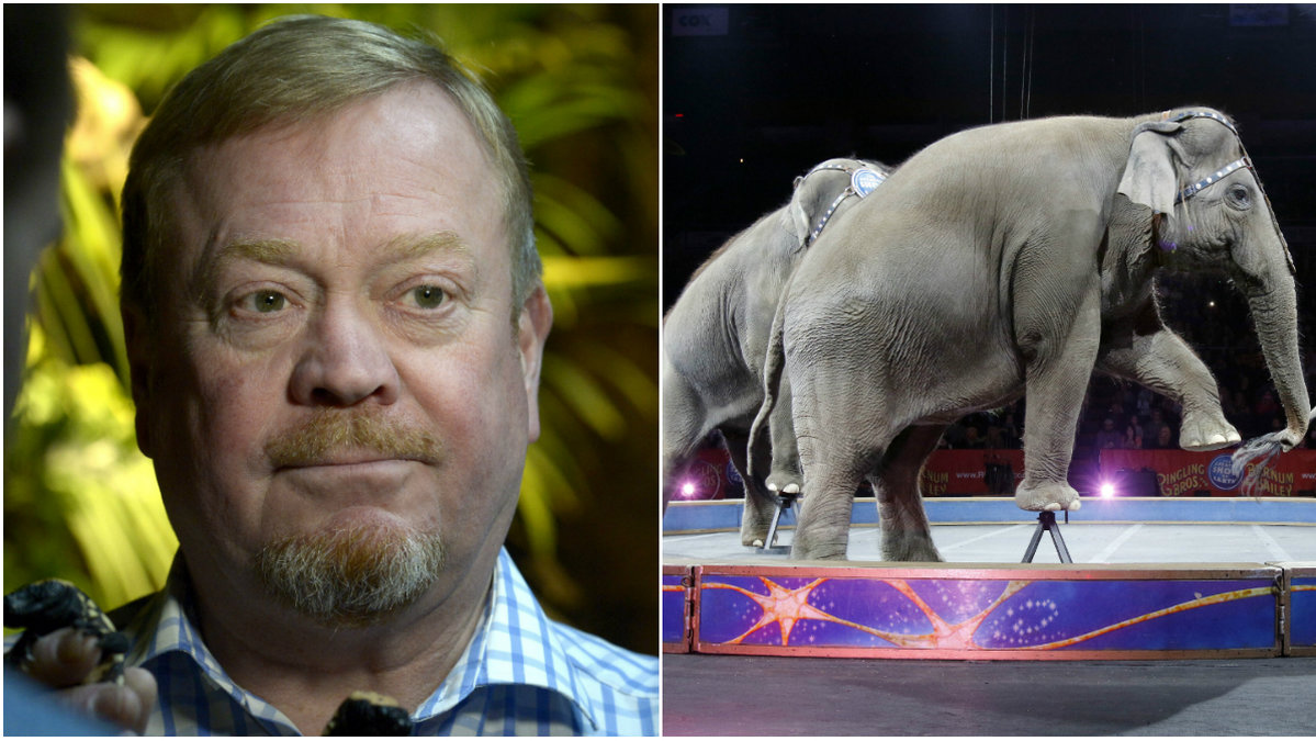 Jonas Wahlström vill se ett slut på vilda djur på cirkus.