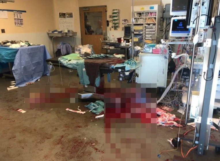 En operationssal med väldigt mycket blod. En operationssal med väldigt mycket blod.