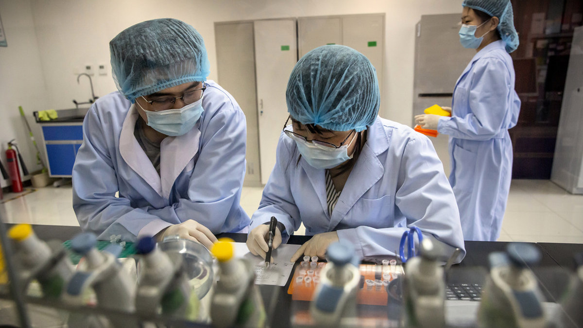 Personer arbetar i ett forsknings- och utvecklingslaboratorium som tillverkar covid-tester i Peking, Kina. Arkivbild.