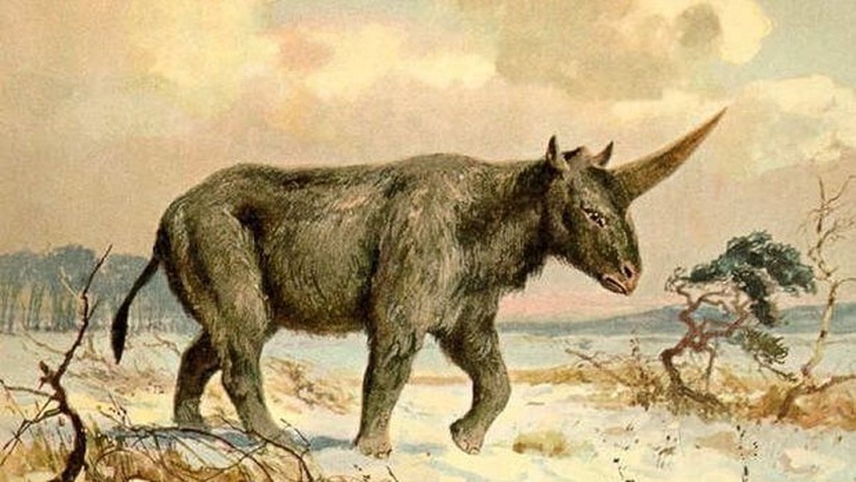 Tyvärr såg den mer ut som en noshörning och påminde om en mammut. Den vägde 4 ton.