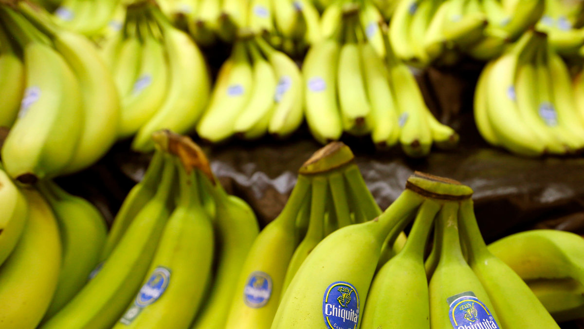 Svampsjukdomen kan spridas i Sydamerika där de flesta bananer odlas. 