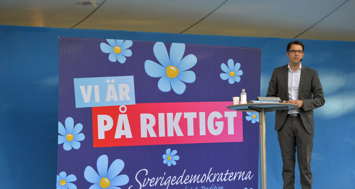 Sverigedemokraterna, Intervju, Konvertera, Muslimer