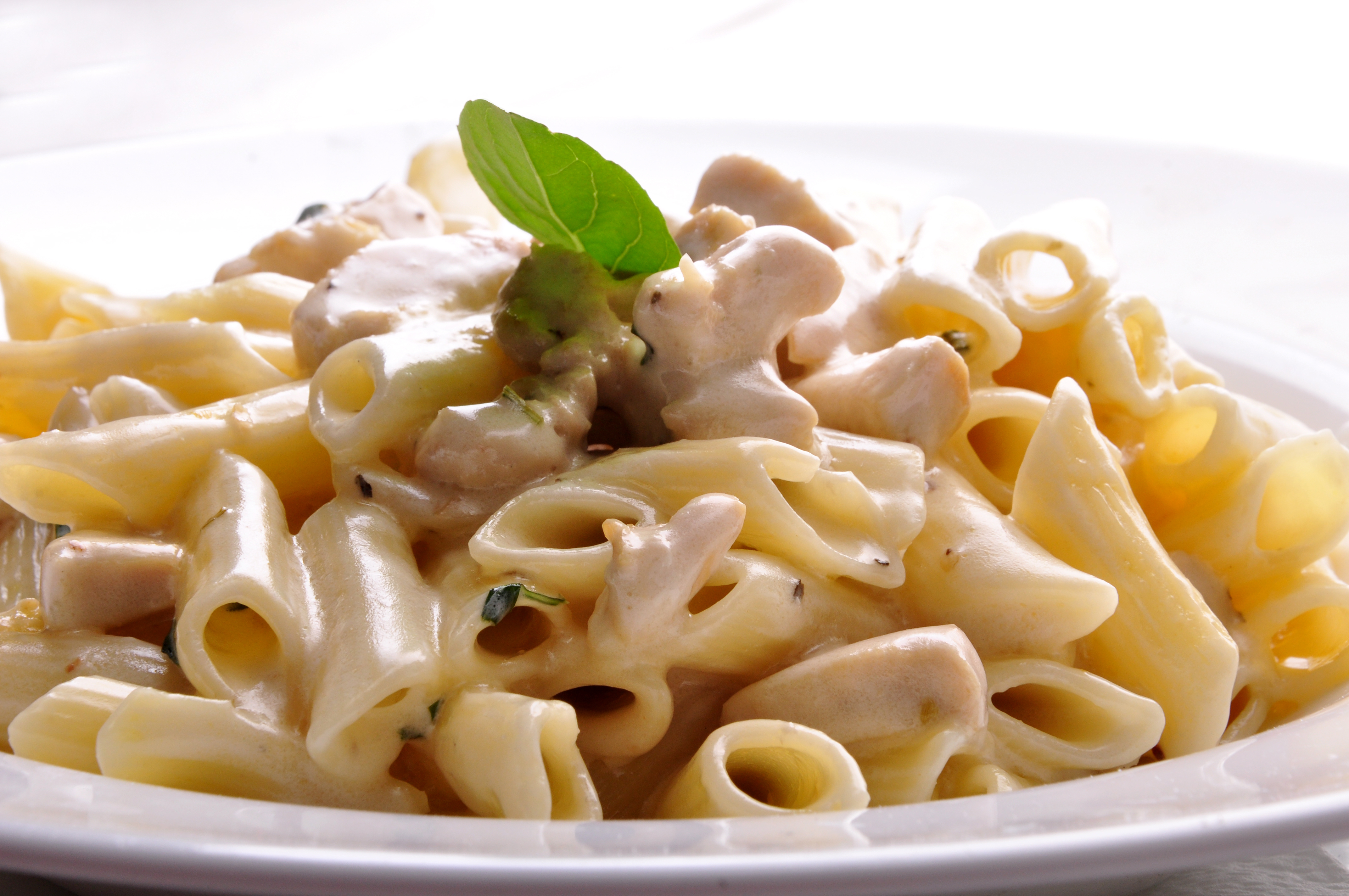 Pasta Pasta