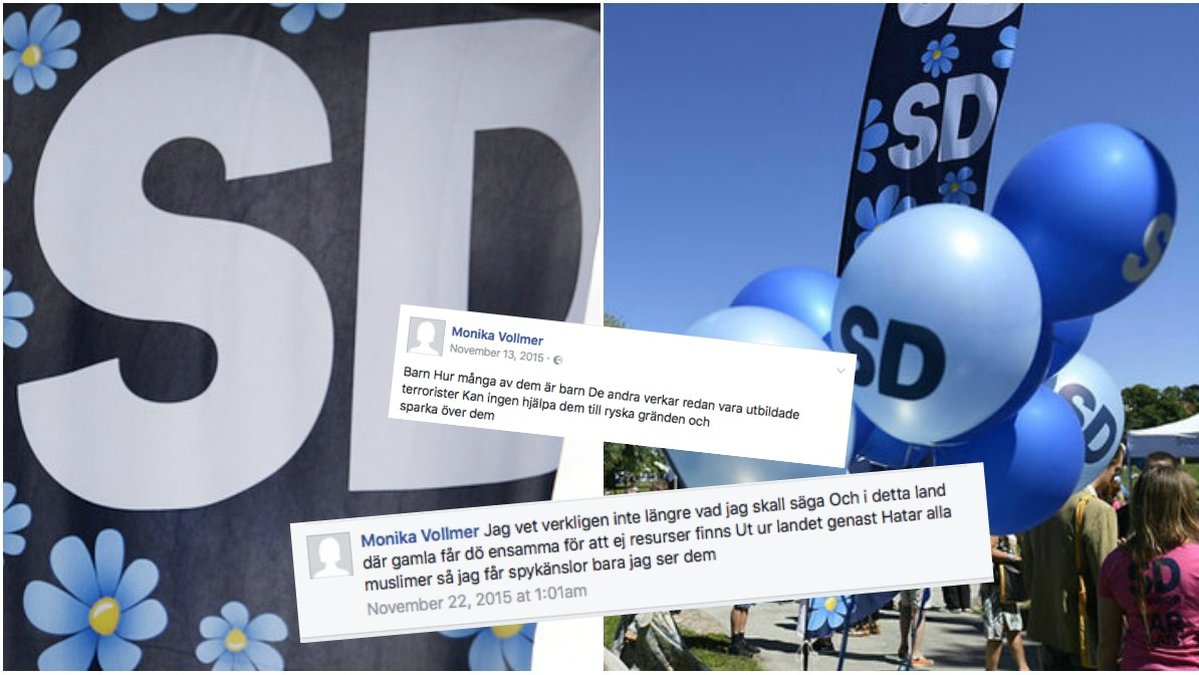 SD-politikern är med i SD i Ludvika. 
