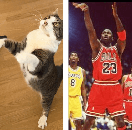 Michael Jordan – igen. Michael Jordan – igen.
