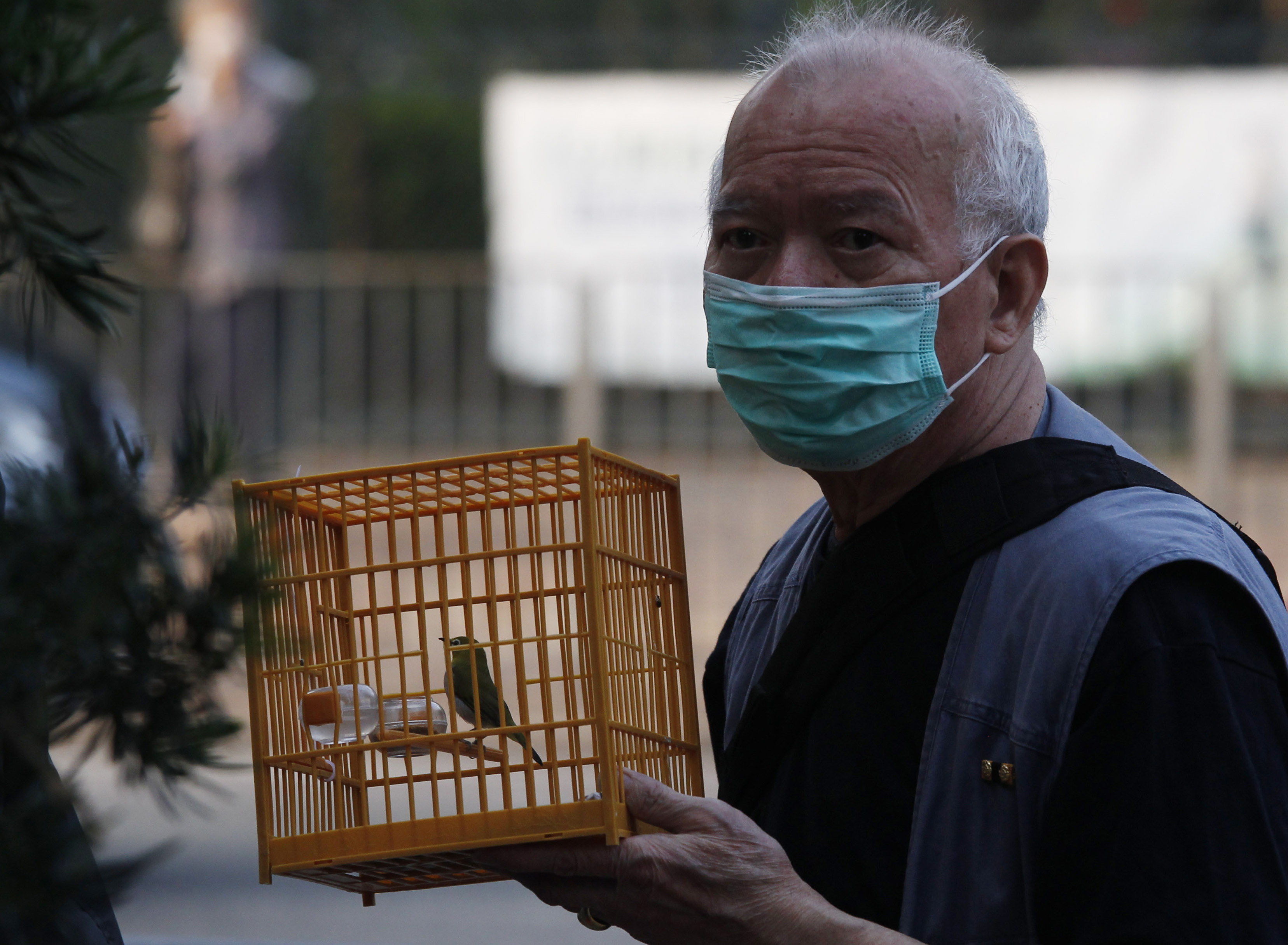 Hong Kong, Smitta, Fågelinfluensa