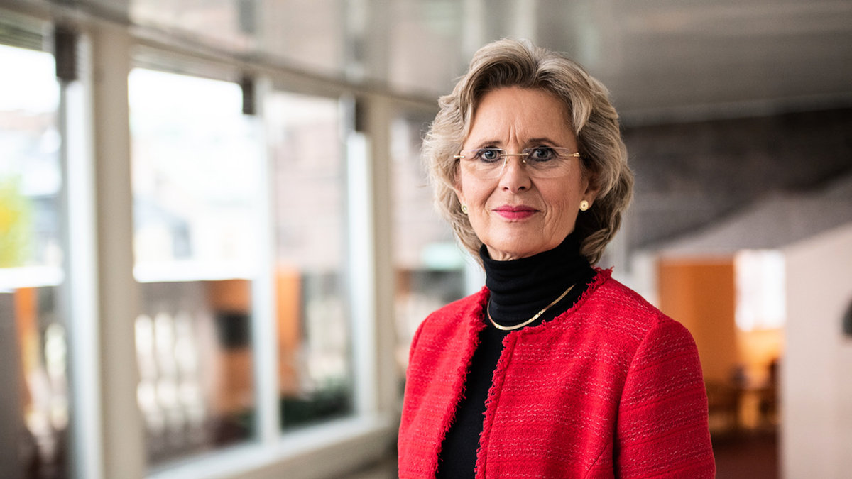 Fyra svenska riksdagsledamöter observerar mellanårsvalet i USA. Margareta Cederfelt (M) leder hela observationen för OSSE:s räkning.