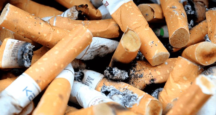 Rökning, Cigaretter, Forbud, Lag, Mentol, Regeringen