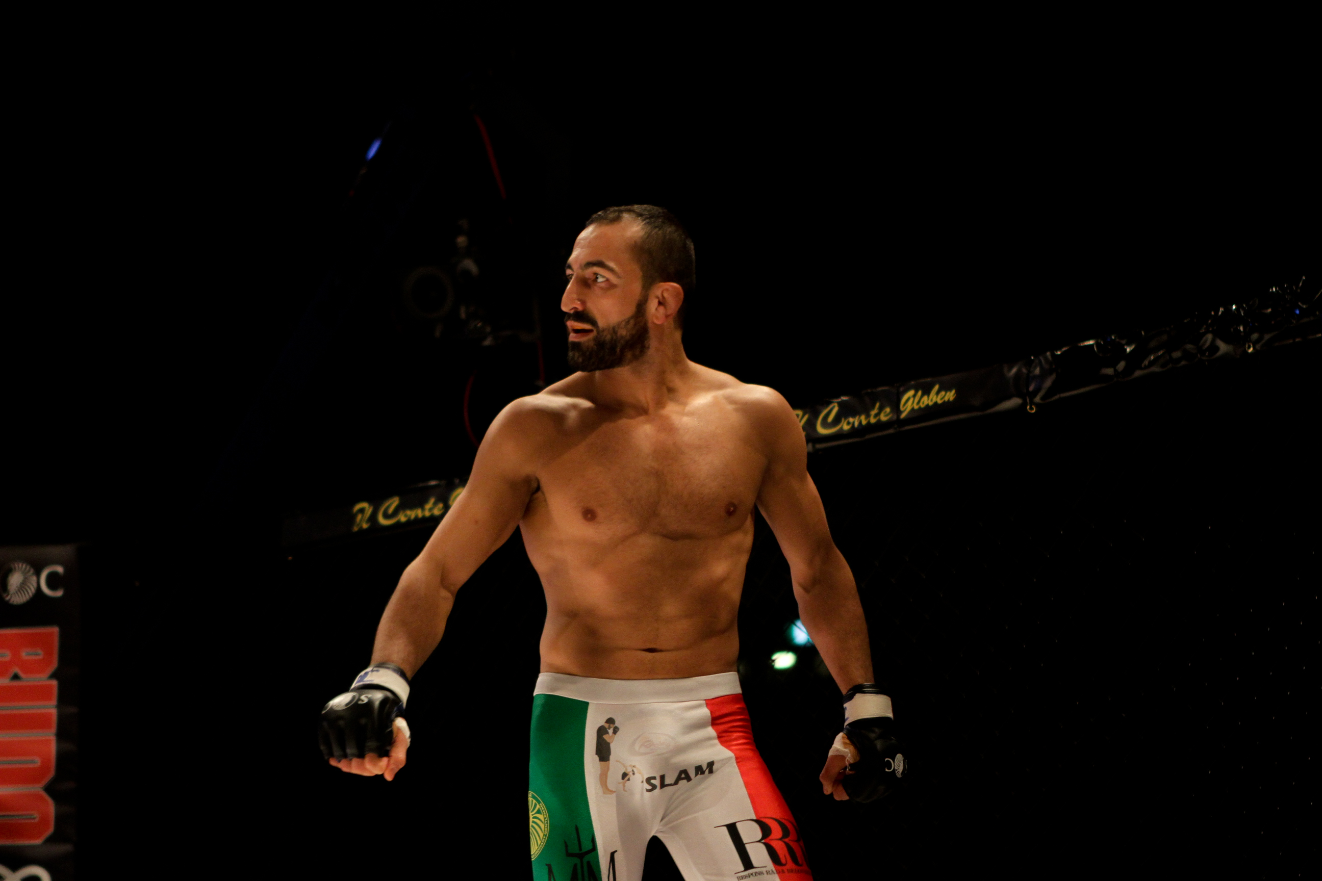 Reza Madadi, UFC, titelmatch, MMA, Superior Challenge, Cage Warriors, Sverige