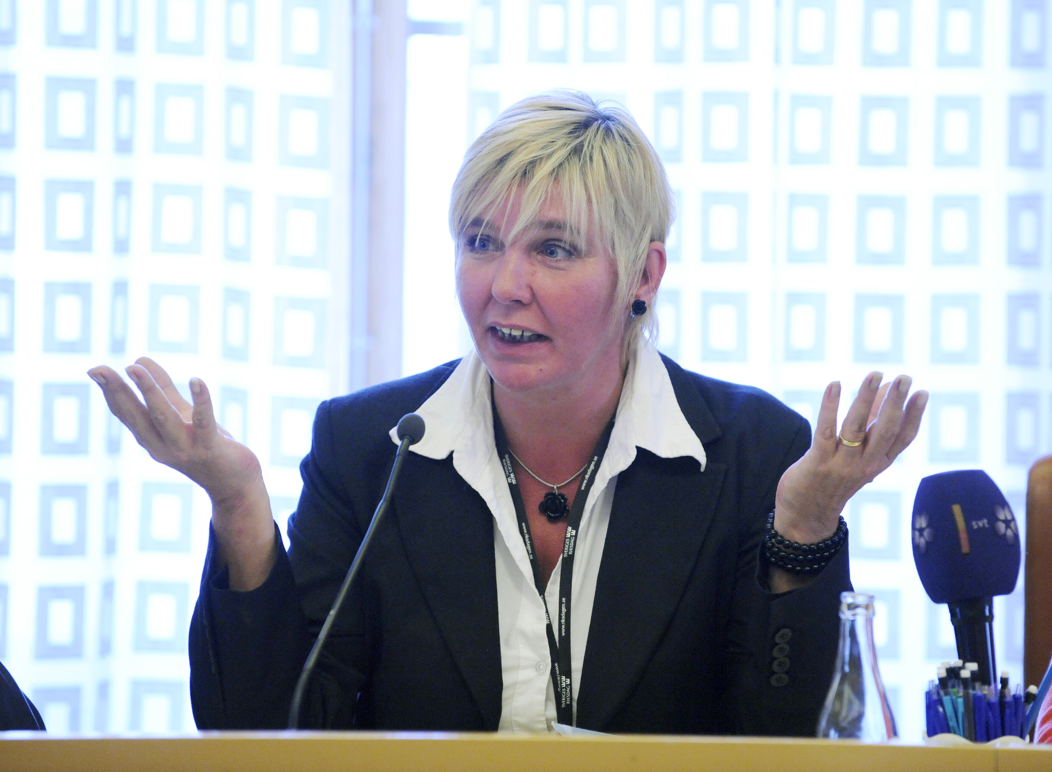 Alice Åström (v) menar att vänsterpartiet ska jobba för sociala rättigheter på EU-nivå... 