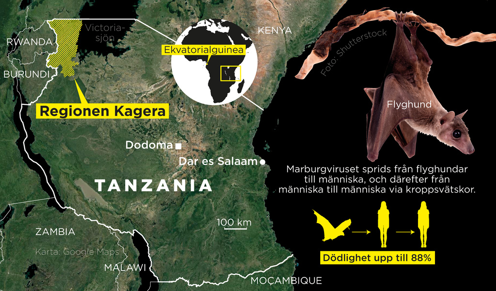 Flera personer har avlidit i den mycket smittsamma blödarsjukdomen marburg i Tanzania.