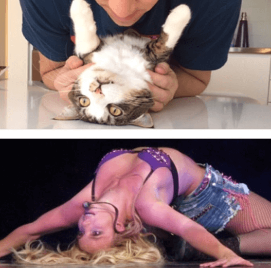 Britney Spears. Britney Spears.