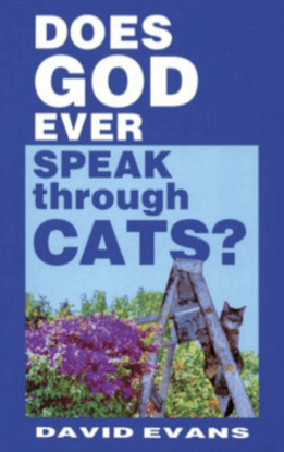 Talar gud någonsin genom katter