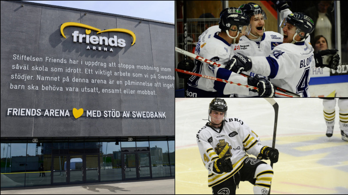 Om Leksands dröm slår in spelar de inför 65 000 människor på Friends Arena mot AIK i vinter. 
