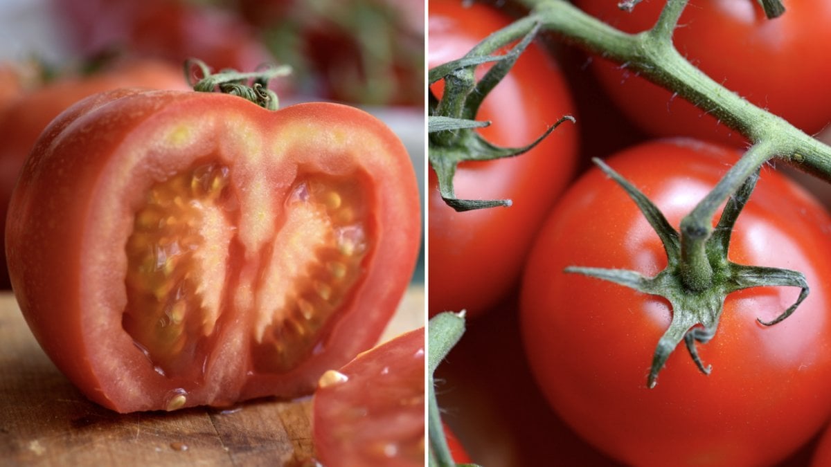 Här får du veta varför du borde ha dina tomater upp och ner.