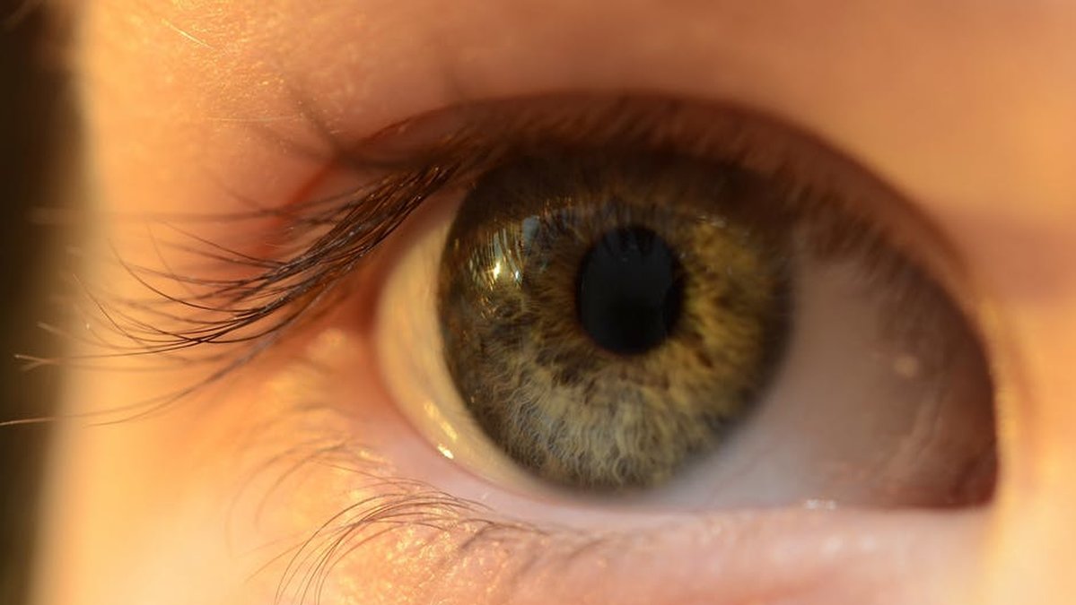 Kontaktlinser i ögat