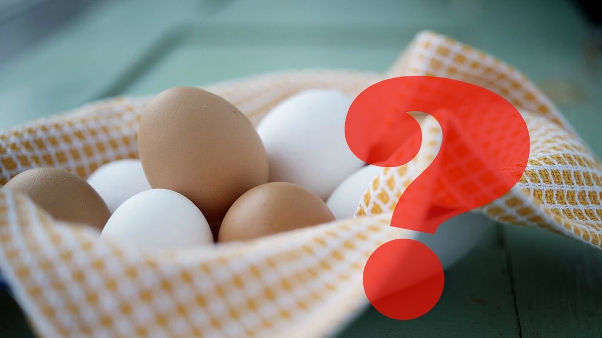 Vad är skillnaden mellan bruna och vita ägg?