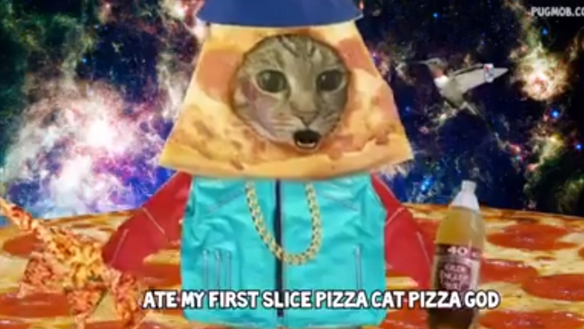 Pizzacat gör succé på nätet. 