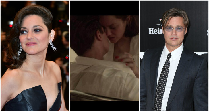 Brad Pitt, Angelina Jolie, Marion Cotillard, skilsmässa