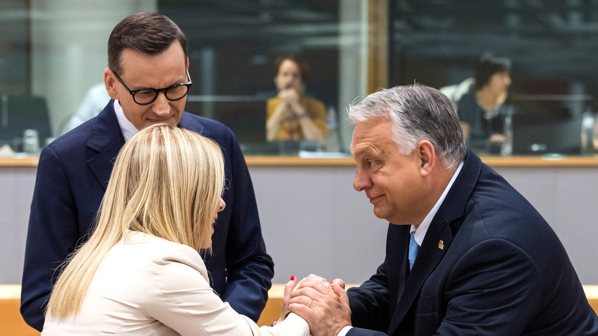 Premiärminister Giorgia Meloni från Italien skakar hand med Ungerns Viktor Orbán, under översyn av Mateusz Morawiecki från Polen vid EU-toppmötet i Bryssel.