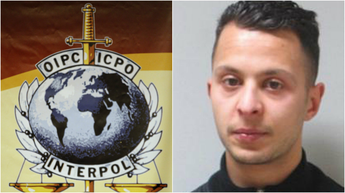 Salah Abdeslam, Interpol, Svenska pass