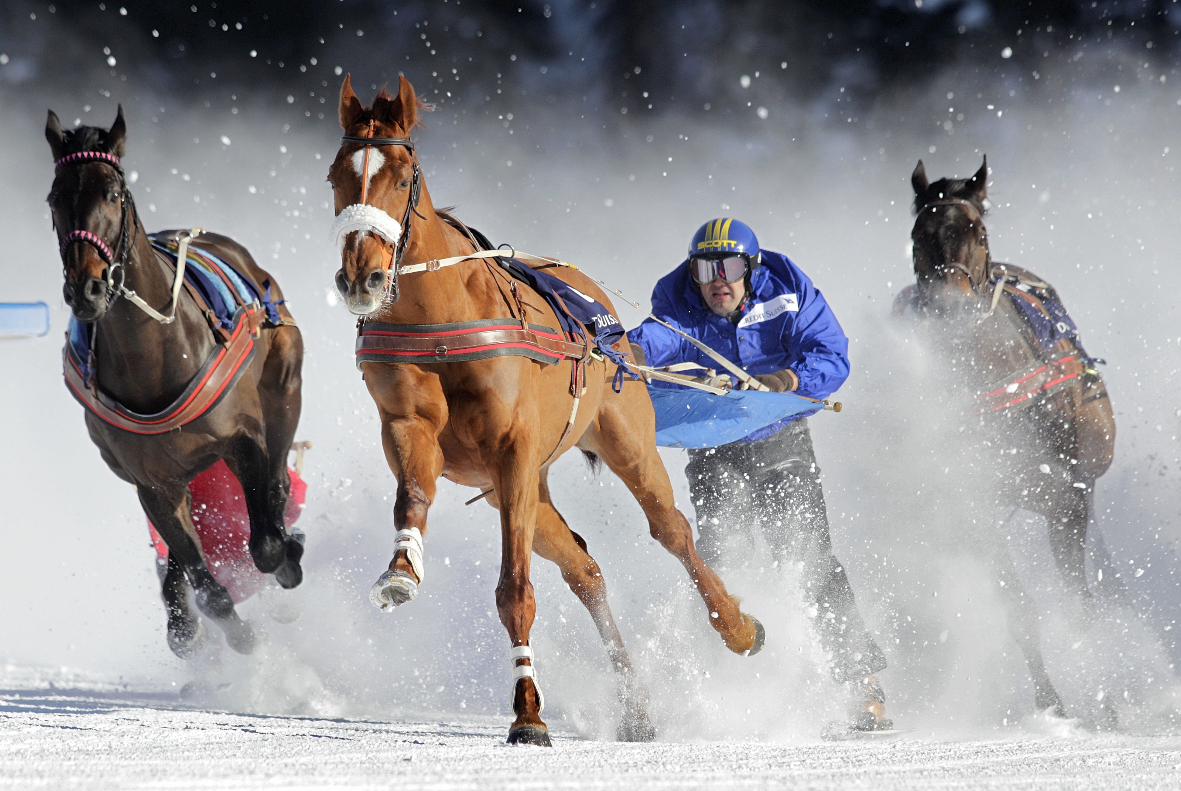 Skiijoring Skiijoring