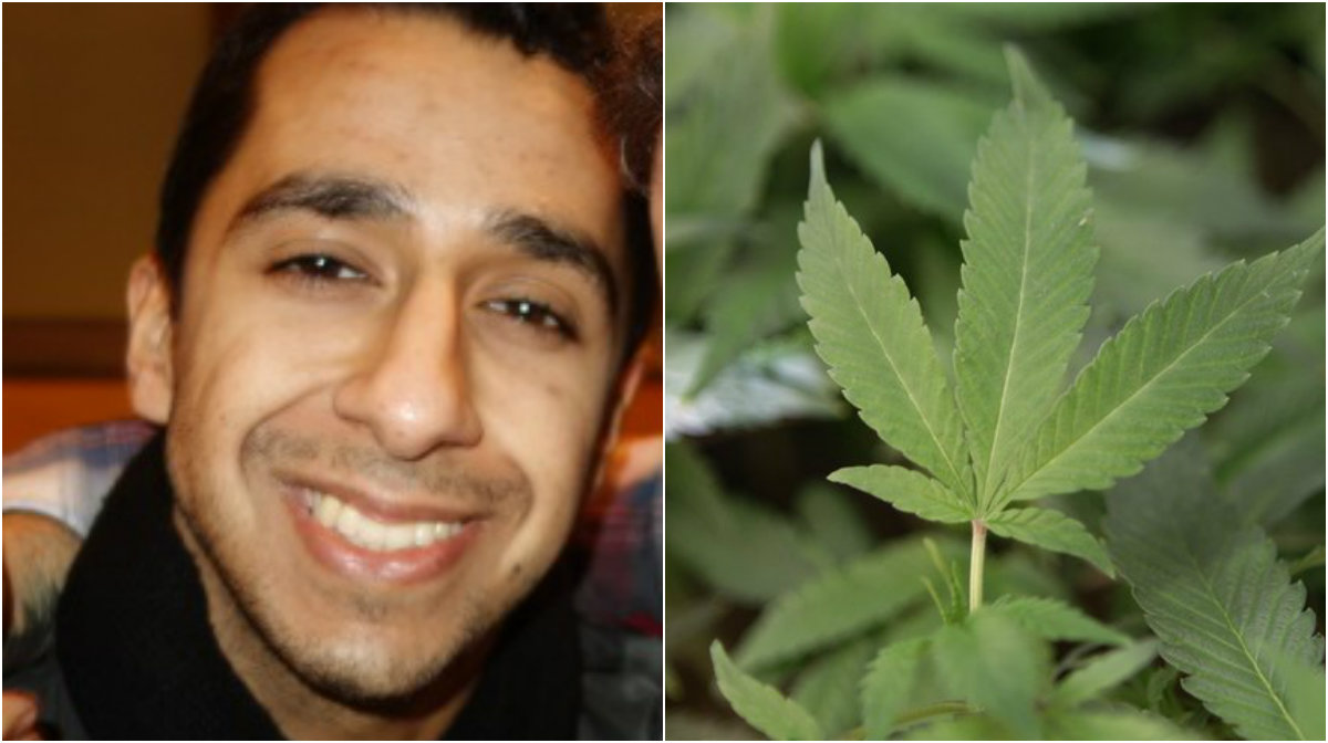 Legalisering, Cannabis, Debatt, Nohan Zainudini