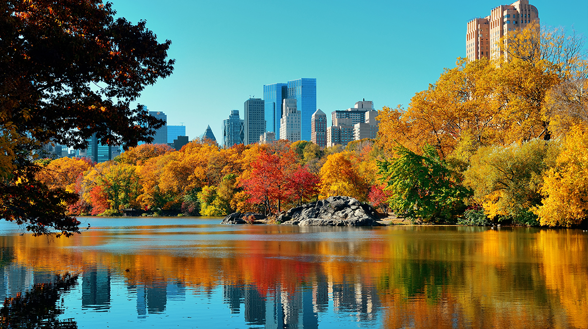 New York New York