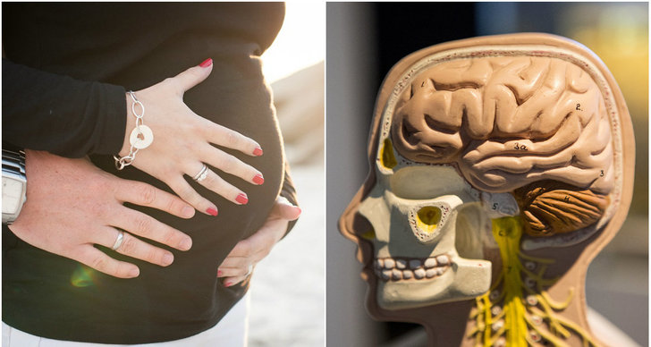 Graviditet, påverkas, Hjärnan