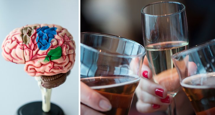 Forskning, Alkohol, hjärnblödning