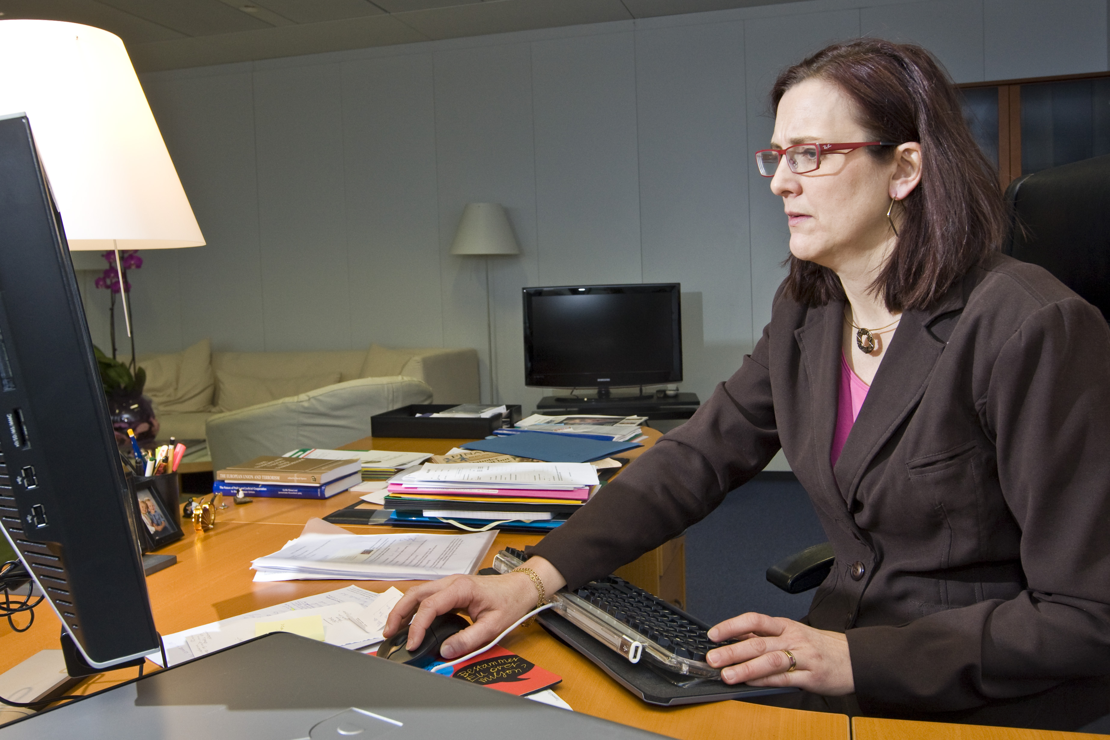 Organisationerna kräver att Malmström sätter stopp för EU-direktivet.