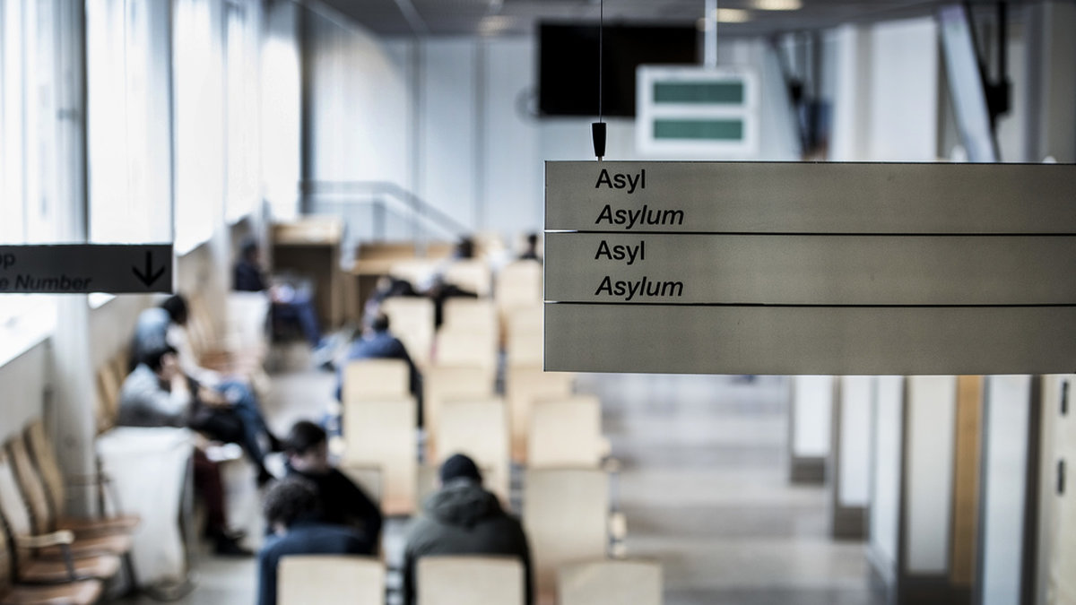 Färre asylsökande väntas till Sverige. Arkivbild.