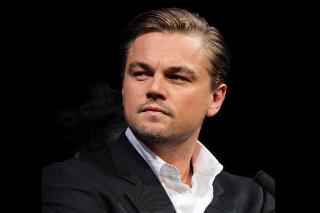 Leonardo DiCaprio har beviljats med ett besöksförbud mot en kvinna...