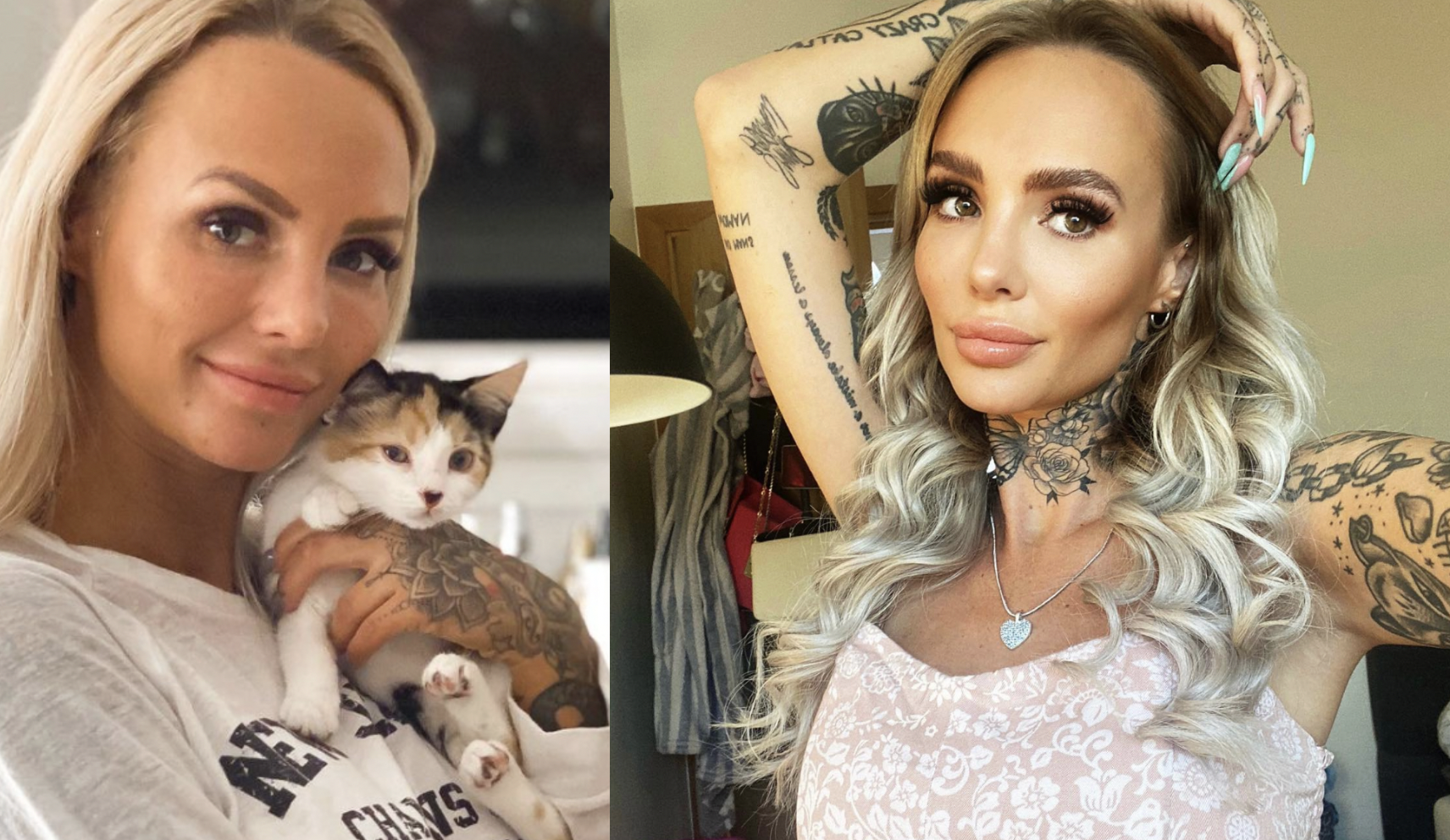 Det har hänt med Paows katter