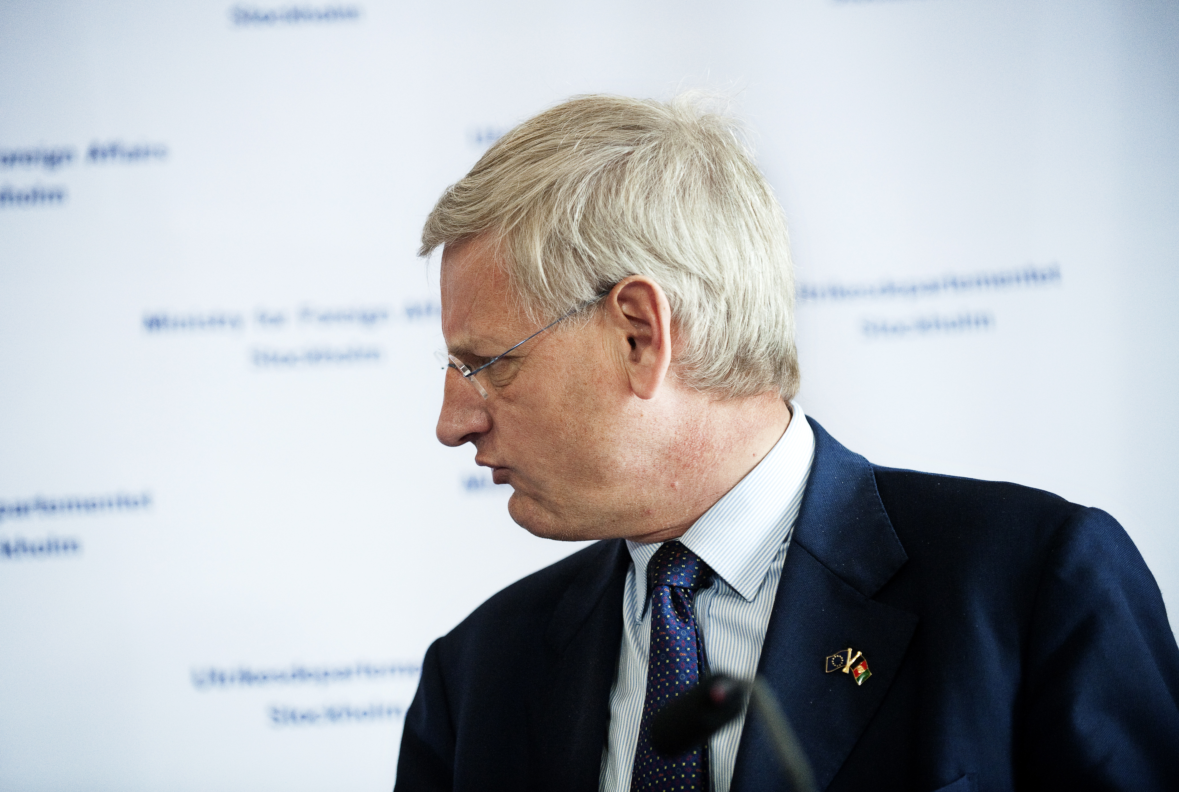 Carl Bildt, Riksdagsvalet 2010
