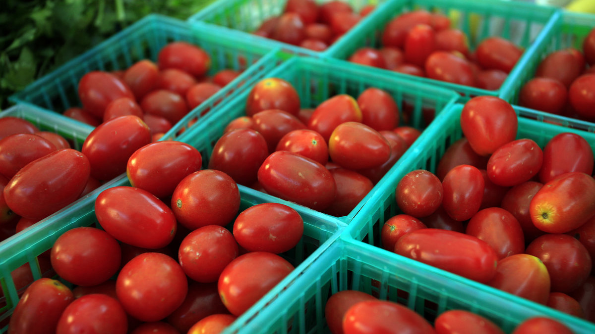 En av tio högstadieelever tror att tomater växer under jorden.