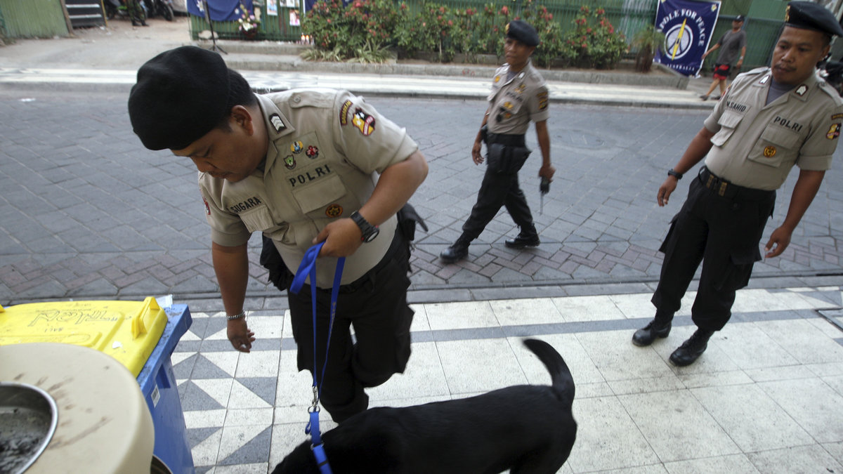 Det finns även hundar som jobbar. Ofta som medhjälpare till polis eller militär.