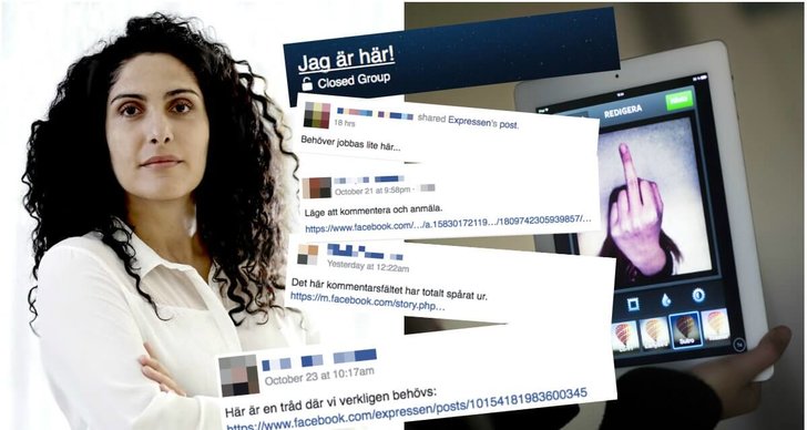 No Hate Speech Movement, Näthat, Facebook, Mina Dennert