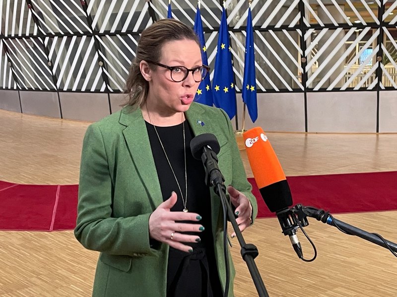 Utrikesminister Maria Malmer Stenergard. Arkivbild.