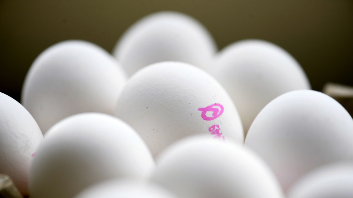 Ägg kan bli dyrare i matbutiken – bland annat till följd av dyrare konstgödsel. Arkivbild.