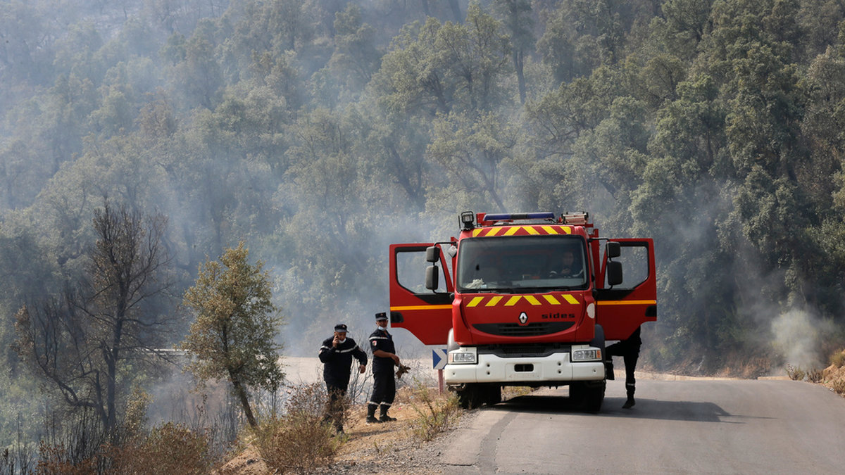 Brandmän bekämpar en skogsbrand i norra Algeriet. Arkivbild.