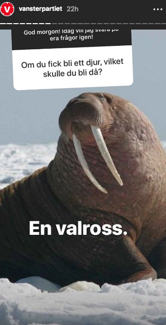 En valross på Vänsterpartiets Instagram. En valross på Vänsterpartiets Instagram.