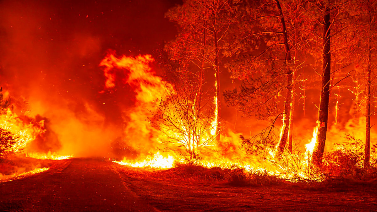 Skådeplatsen för en skogsbrand – en av många i Frankrike – under fredagen nära Saint-Magne, söder om Bordeaux.
