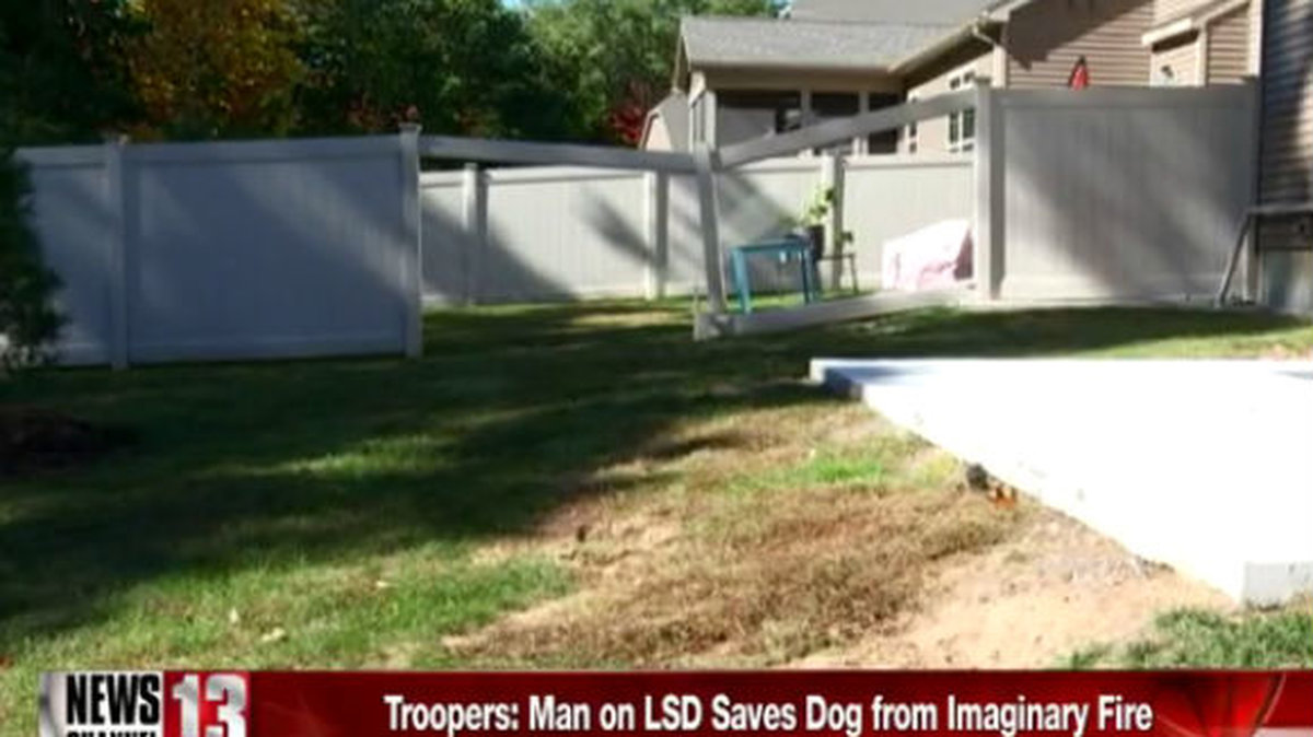 I panik rammade han in med sin bil rakt genom husägarnas staket för att "rädda" familjens hund.
