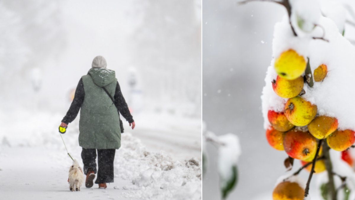 SMHI har utfärdat en orange varning för snöfall i sydöstra Sverige.