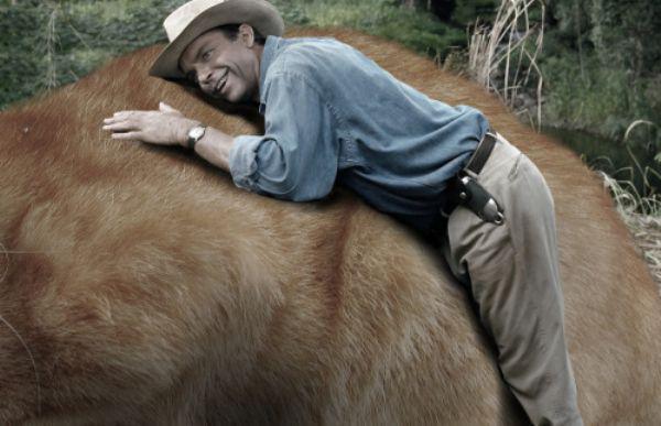 Sam Neill lyssnar på hur katten spinner. Sam Neill lyssnar på hur katten spinner.