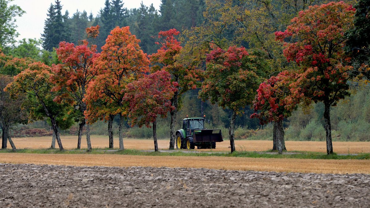 En traktor utanför Nyköping – omringad av höstträd. 