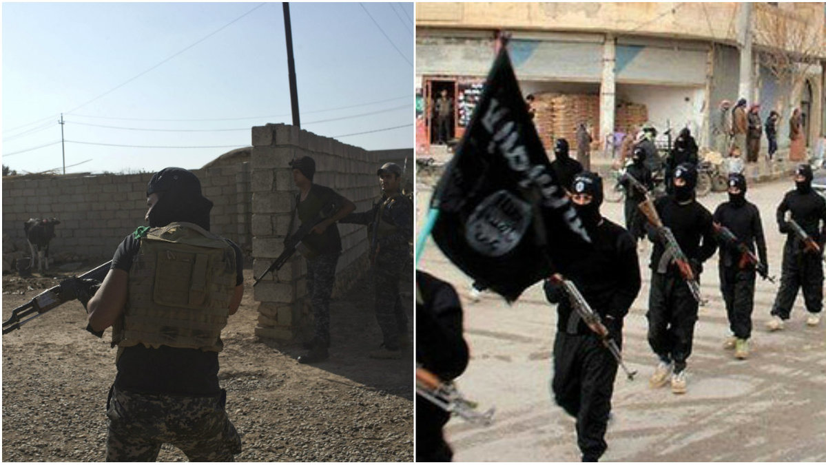 Oppositionen har nått IS-fästet Mosul.